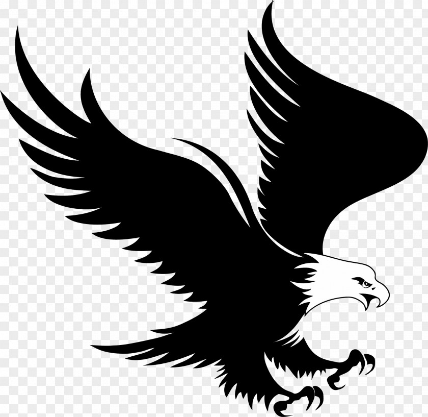 Eagle Bald Logo Royalty-free PNG