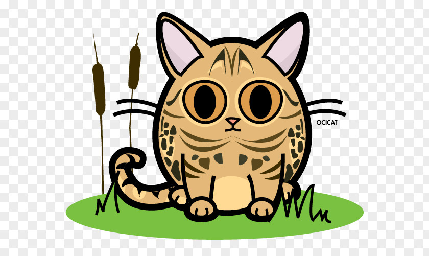 Kitten Whiskers Ocicat Cattery Snout PNG