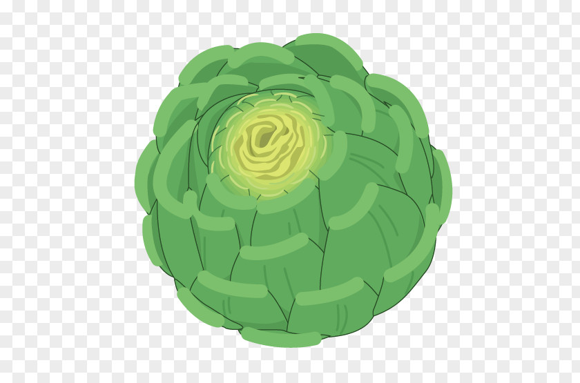 Vector Cabbage Clip Art PNG