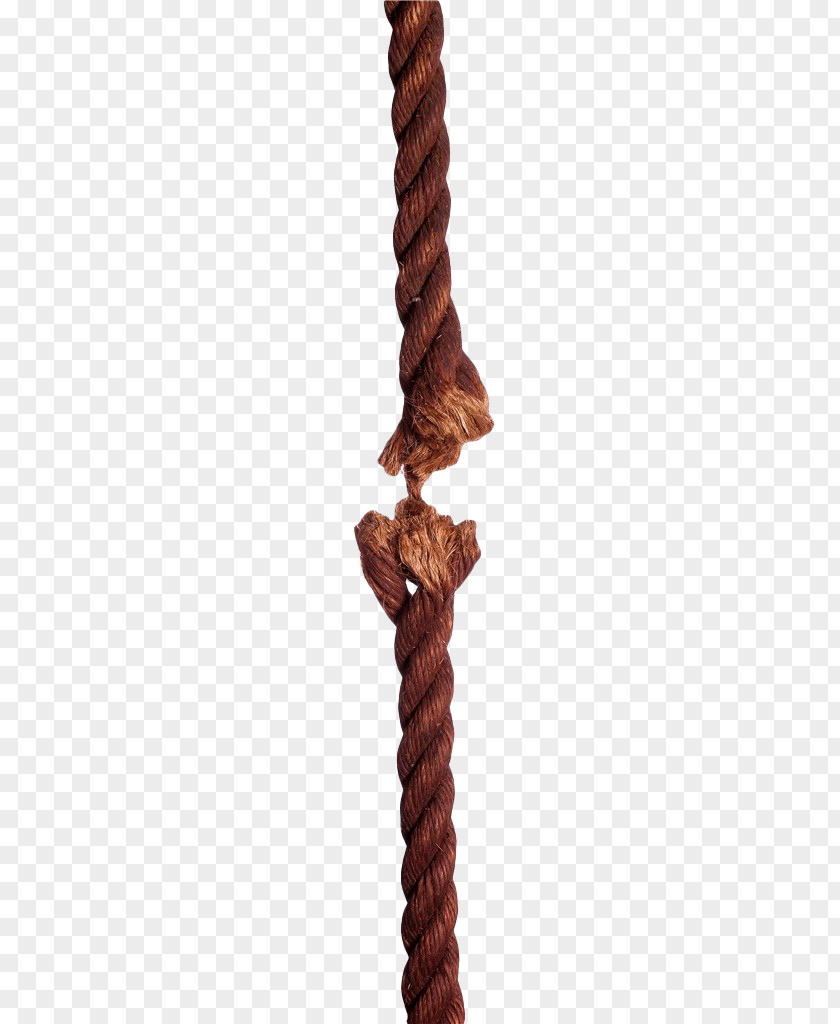 Yellow Cut Off The Hemp Rope PNG