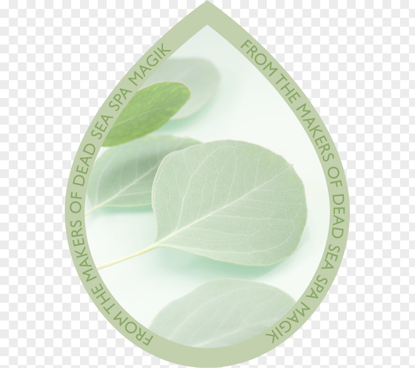 Creative Green Drops Leaf Gum Trees Tableware PNG