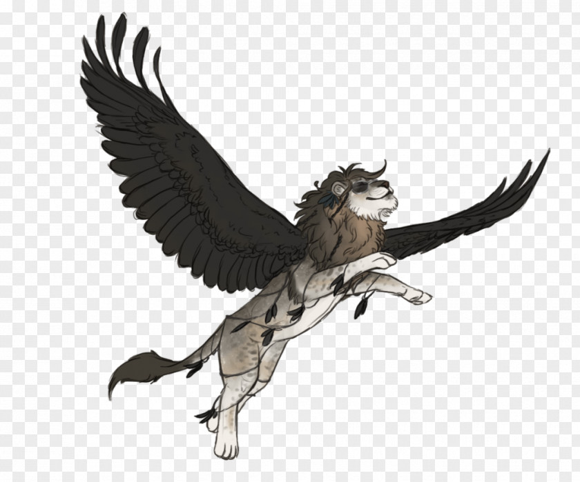 Eagle Owl Feather Beak Wildlife PNG