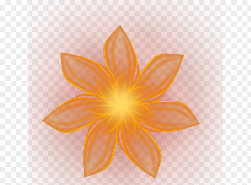 Light Flower Symmetry Computer Pattern PNG