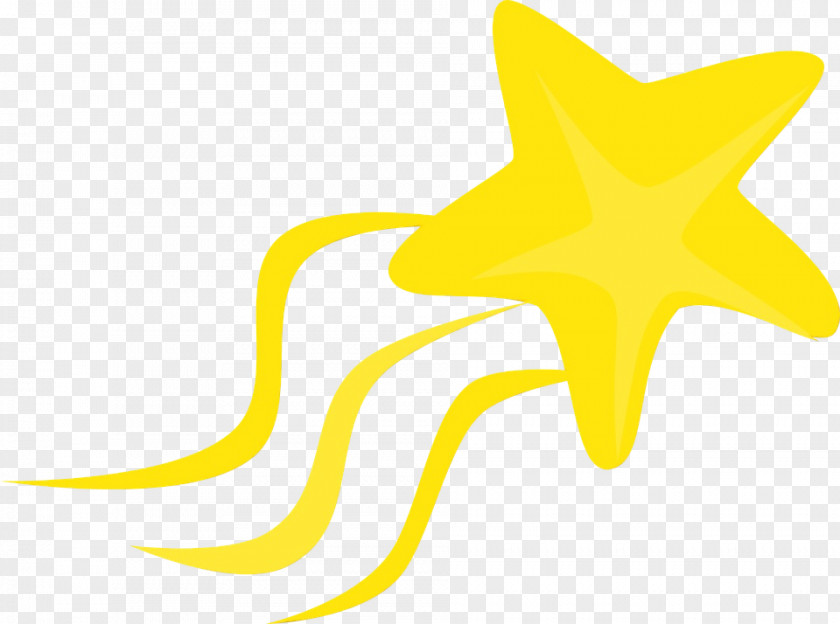 Logo Yellow Star Drawing PNG