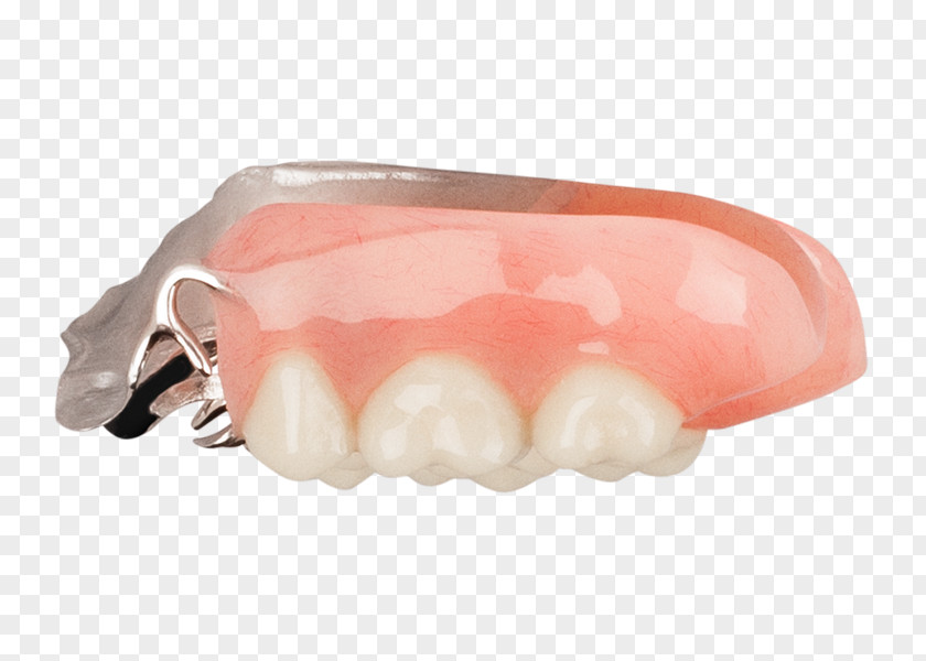 Luminous Dentures Tooth PNG