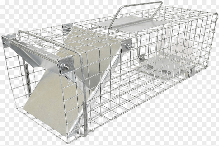 Rat Cage Trapping Squirrel Mouse PNG