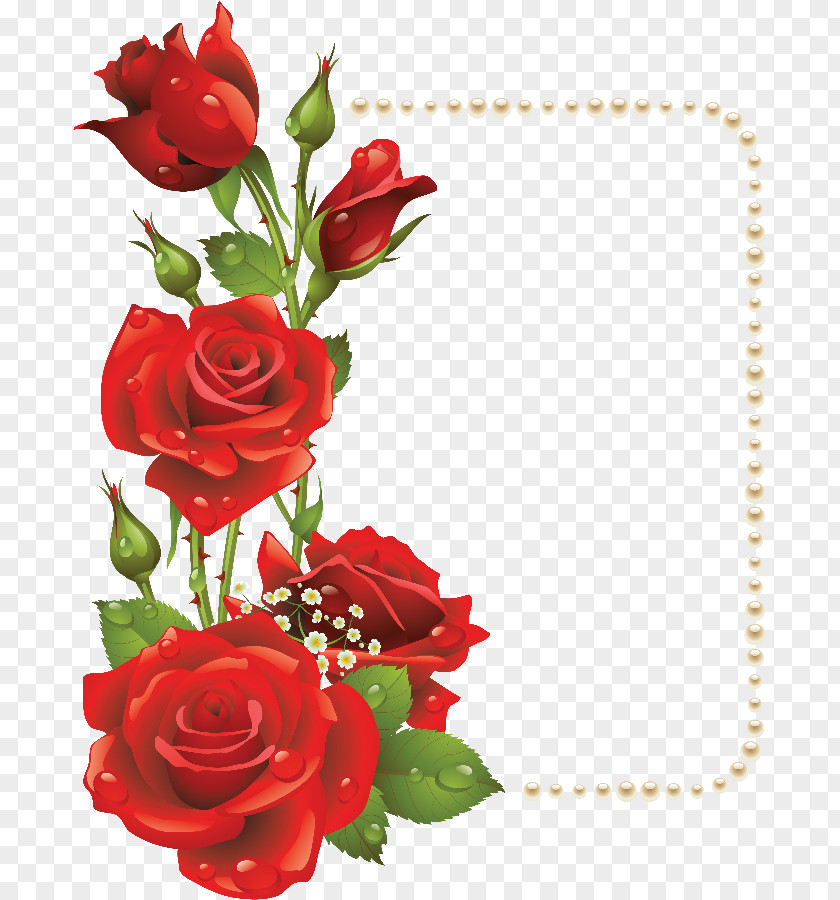 Red Rose Border Flower Picture Frames Clip Art PNG