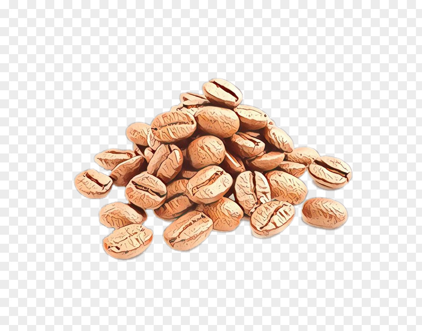 Superfood Ingredient Food Nuts & Seeds Plant Nut Bean PNG
