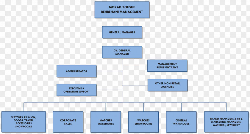 Organization Chart Brand Diagram PNG