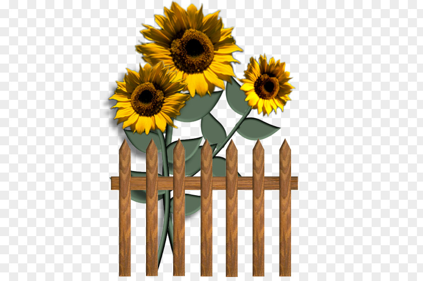 Self-service Common Sunflower Blog Clip Art PNG