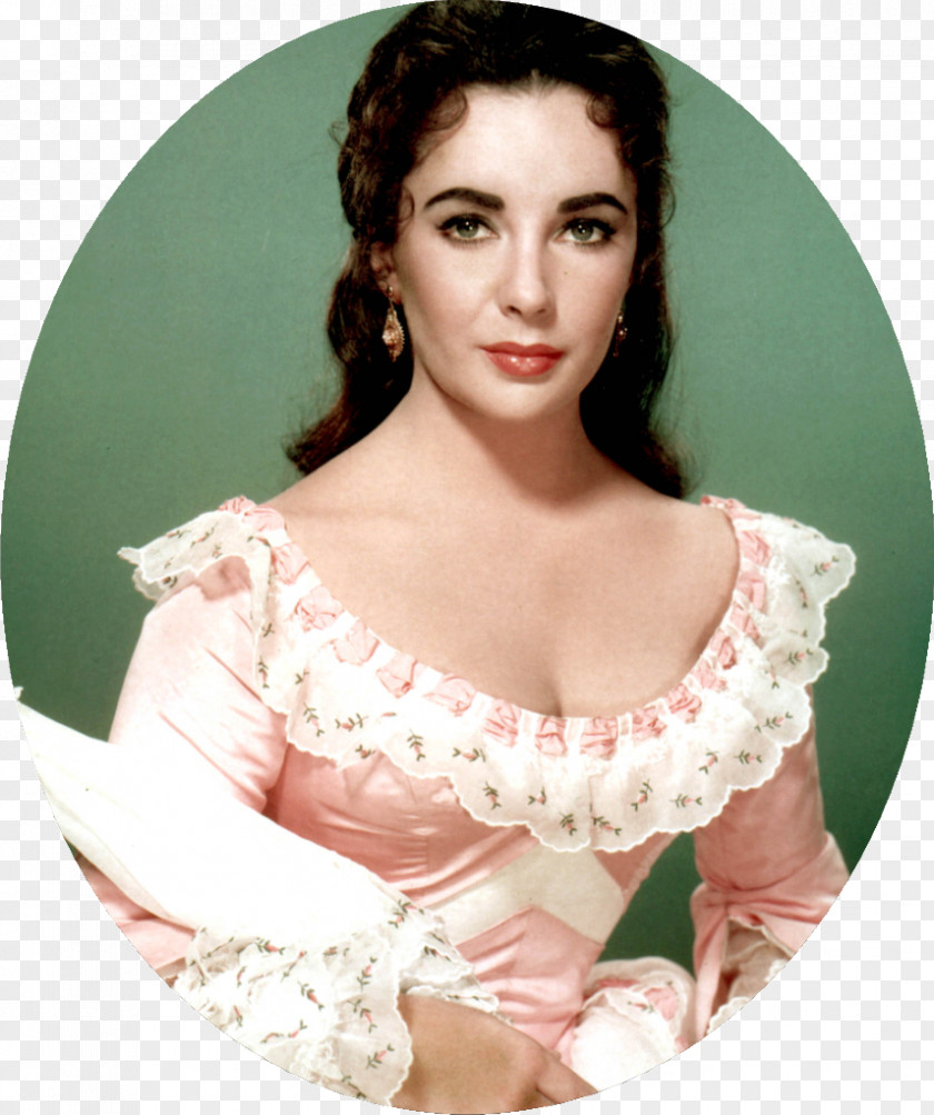 Actor Elizabeth Taylor Raintree County Film Academy Awards PNG