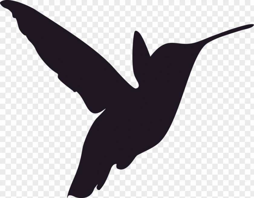 Bird Hummingbird Stencil Jill & Co. Realty Group Image PNG