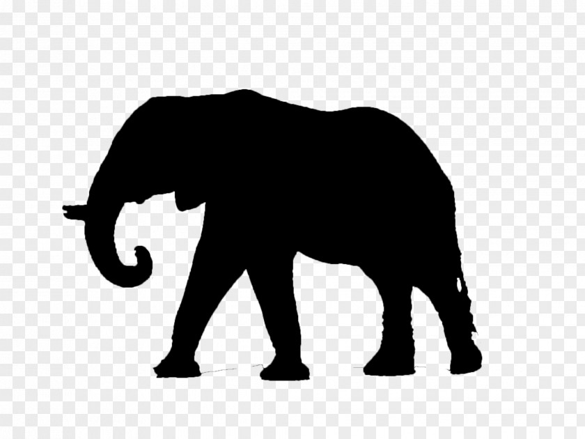 Elephant Art Elephantidae Dwarf Mammal Clip PNG
