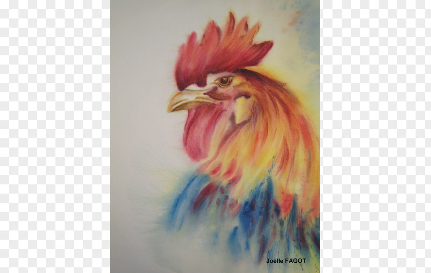 Feather Rooster Watercolor Painting Beak Chicken As Food PNG