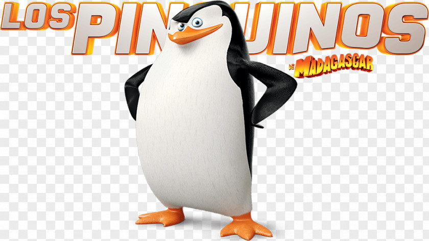 Penguin Skipper Kowalski Marty Madagascar PNG