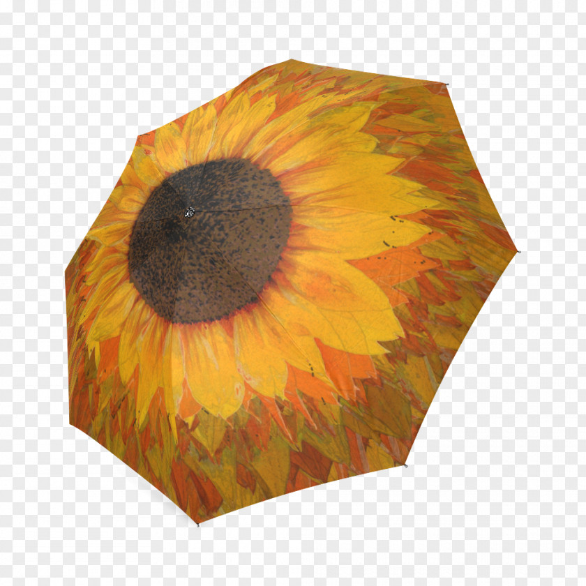 Umbrella Sunflower M PNG
