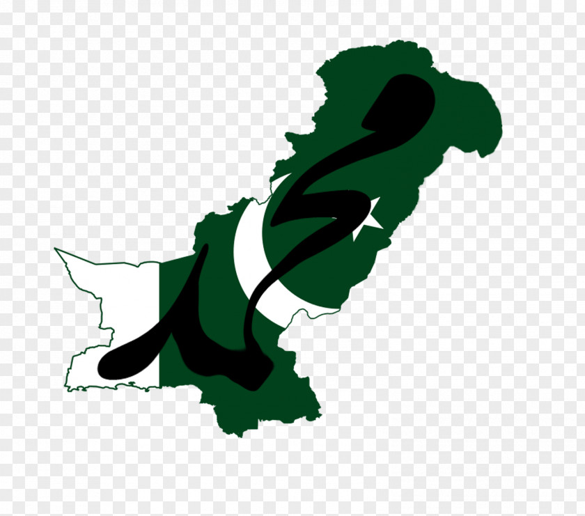 United States China–Pakistan Economic Corridor Business Flag Of Pakistan PNG
