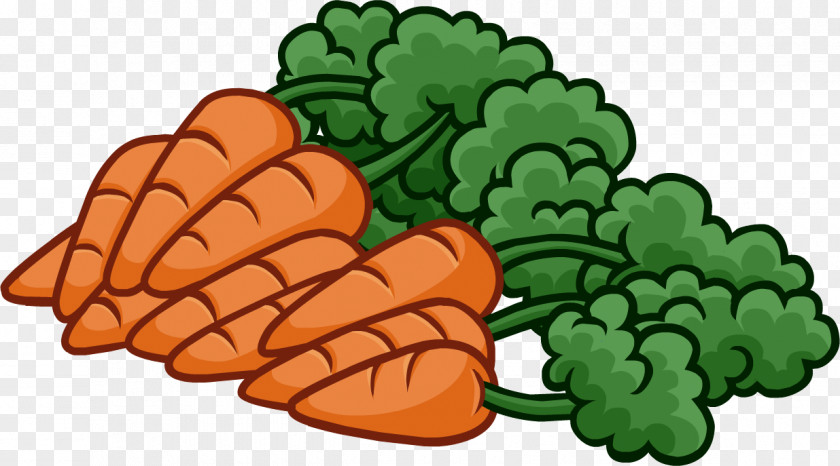Carrots Baby Carrot Clip Art PNG