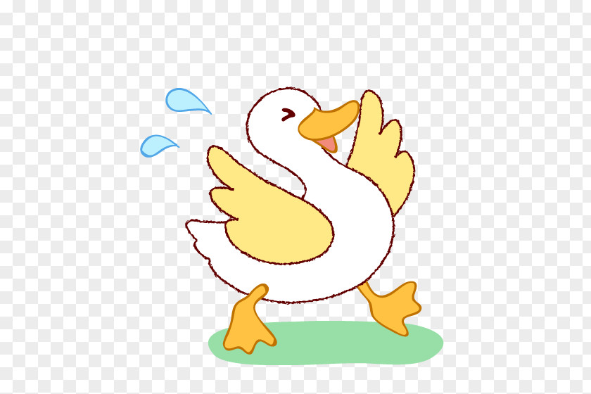 Duck Goose Drawing Clip Art PNG