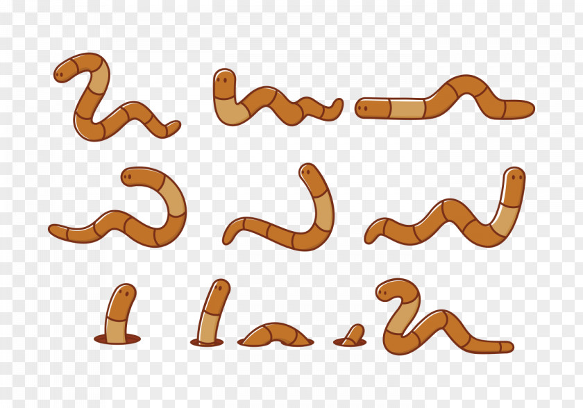 Earth Worm Cartoon Earthworm Animal PNG