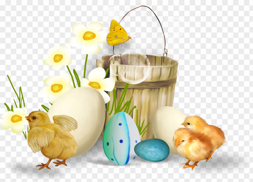 Easter Egg PNG