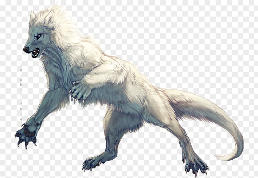 Gray Wolf DeviantArt Drawing PNG