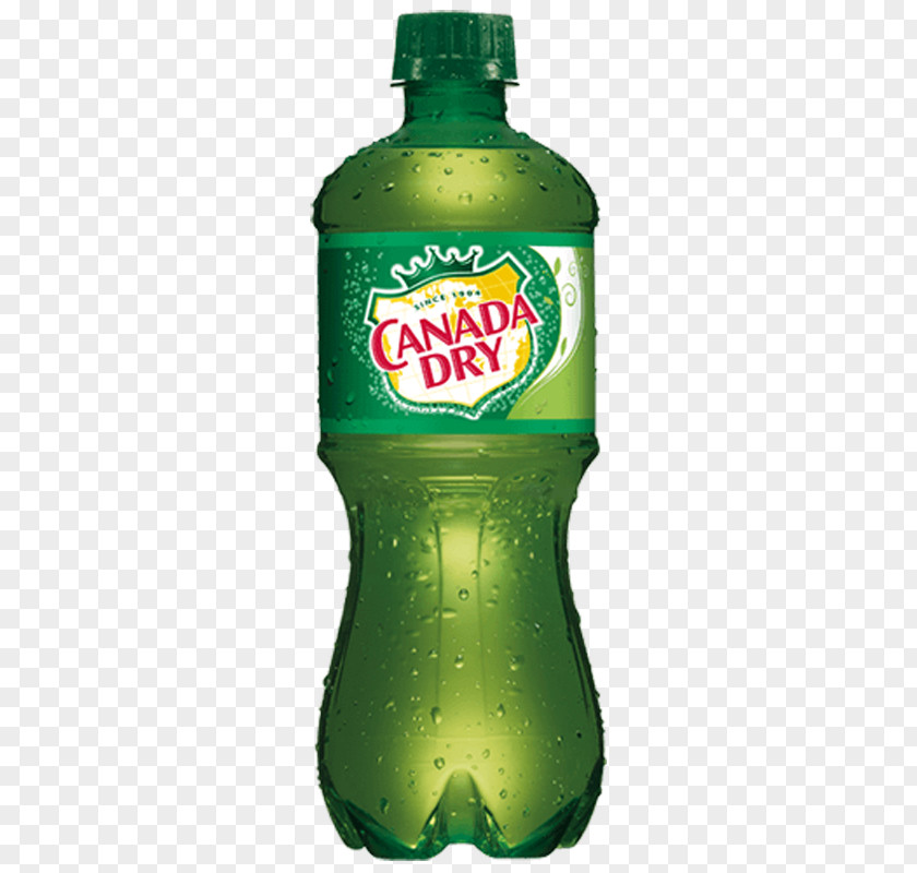 Lemonade Ginger Ale Fizzy Drinks Coca-Cola Ale-8-One PNG