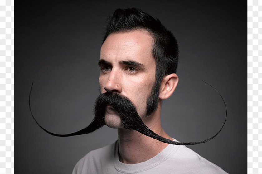 Moustache World Beard And Championships Handlebar Movember PNG