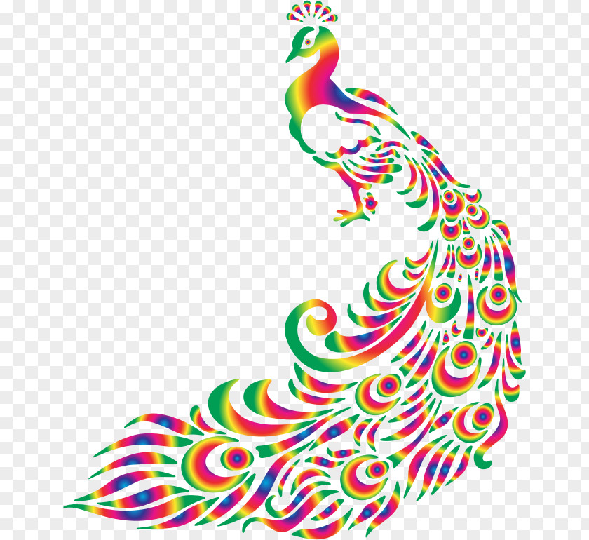 Peacock Peafowl Bird Symbol Feather Clip Art PNG