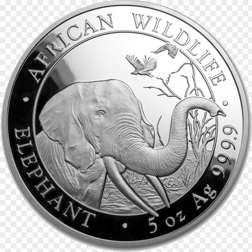 Silver Coin Somalia African Elephant Kilogram PNG