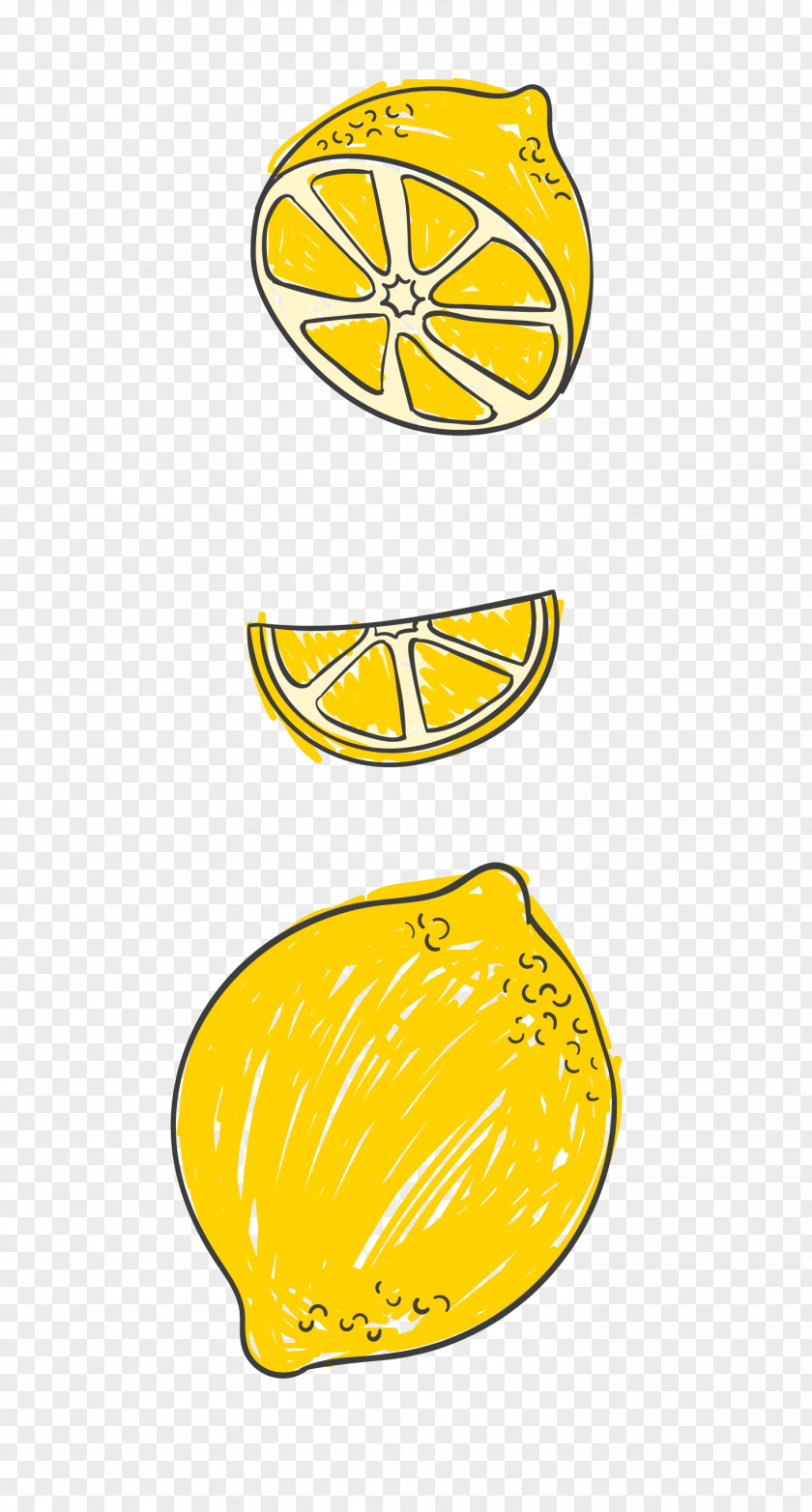Vector Yellow Fresh Lemon Hand Painted Illustration PNG