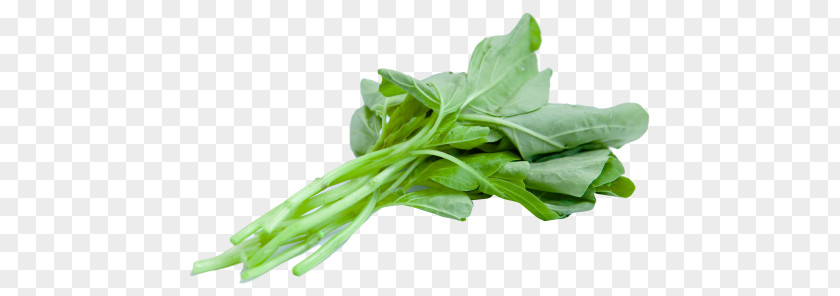 Vegetable Spinach Leaf Food PNG