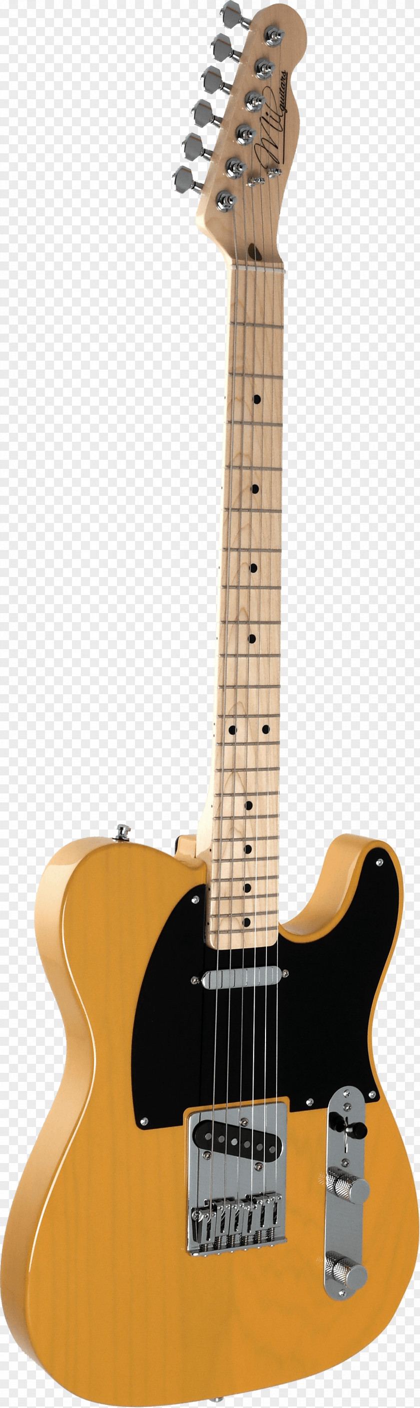 Bass Guitar Acoustic-electric Acoustic Tiple PNG