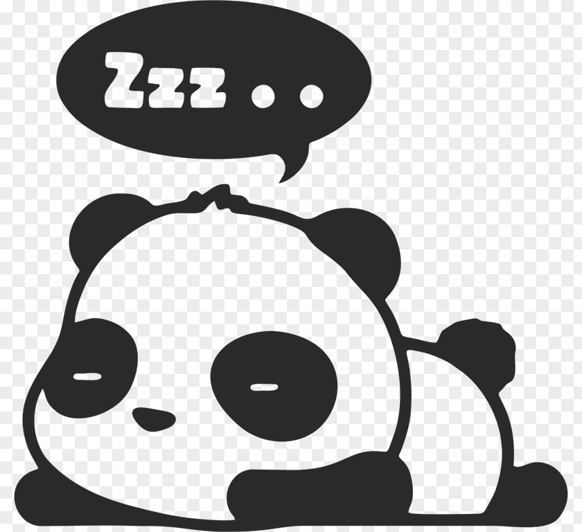 Bear Giant Panda Decal Bumper Sticker Drawing PNG