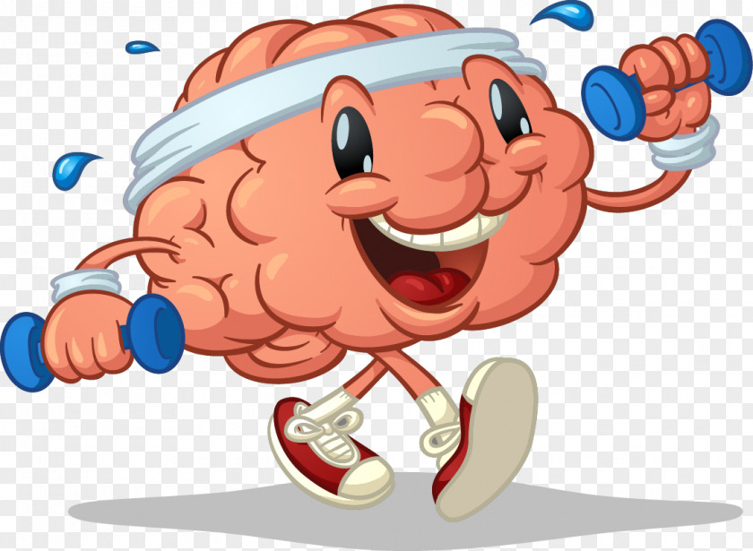 Brain Cognitive Training Exercise Clip Art Cerebral Blood Flow PNG