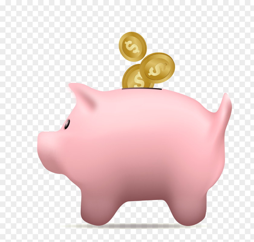Cartoon Piggy Bank Domestic Pig Saving PNG
