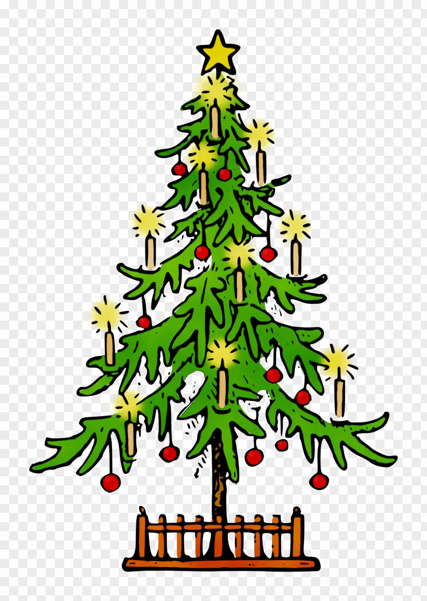 Plant Christmas Eve Tree PNG