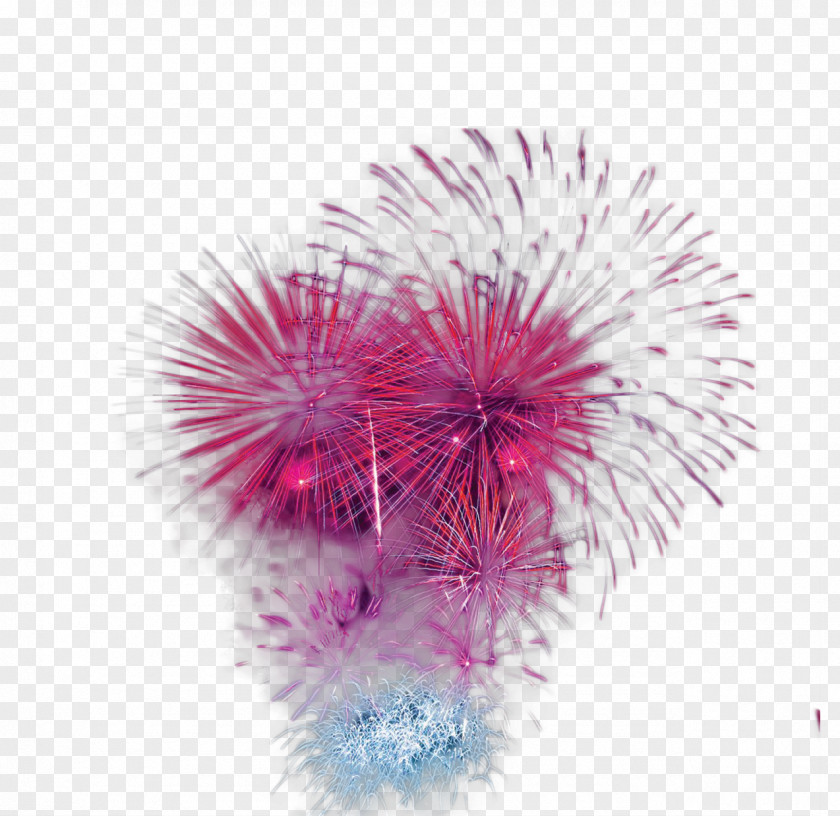 Purple Festive Fireworks Effect Elements Adobe Festival PNG