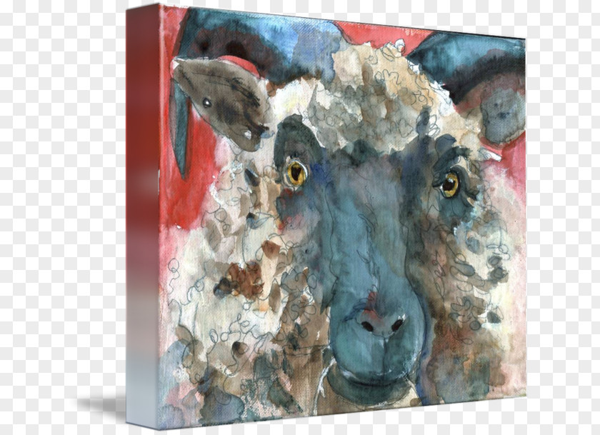 Sheep Watercolor Painting Gallery Wrap Printmaking PNG