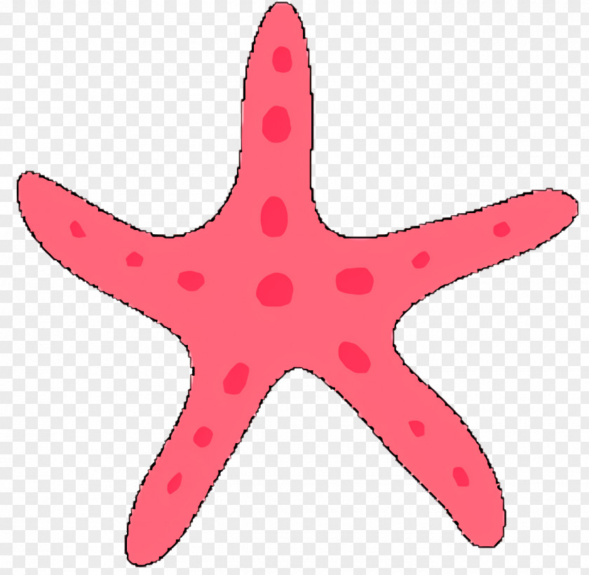 Star Pink Cartoon PNG