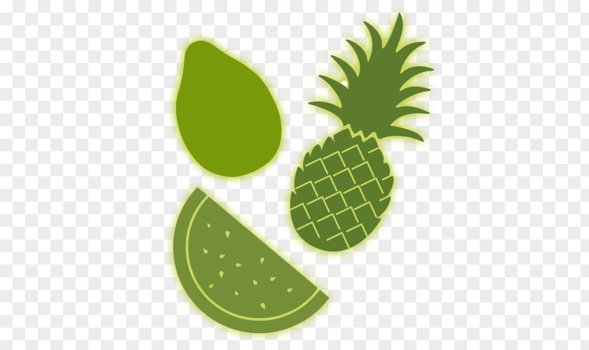 Aloe Leaf Food Cocktail Drink Fruit PNG