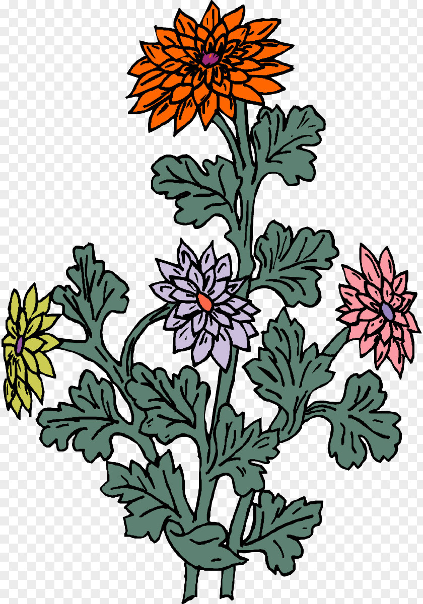 Chrysanthemum Floral Design PNG