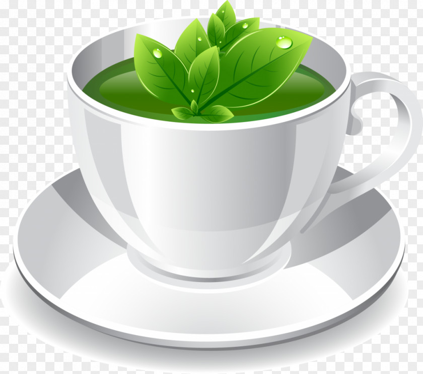 Cup Green Tea Coffee White Teacup PNG