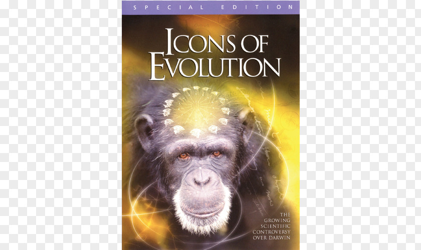Dvd Icons Of Evolution Common Chimpanzee Darwinism DVD PNG