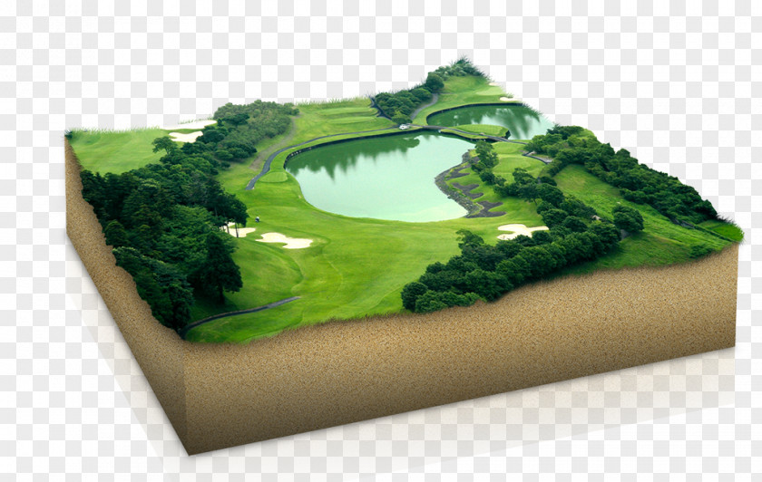 Golf Course Segway PT Poster Golfer PNG