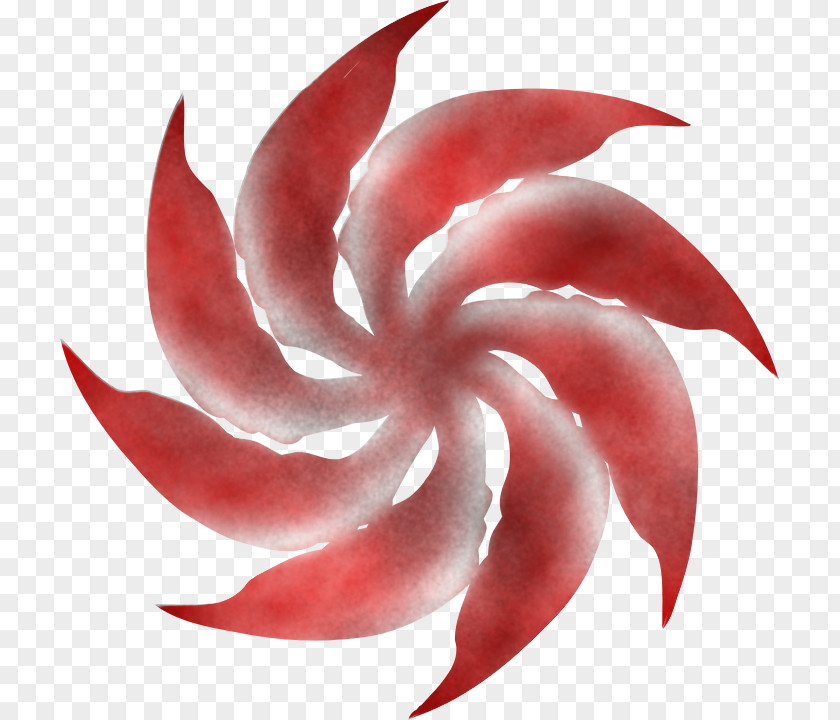 Petal Red Flower Plant PNG