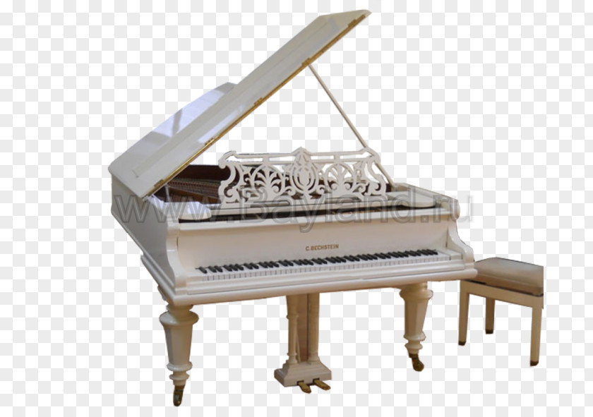 Piano Fortepiano Digital Player Spinet PNG