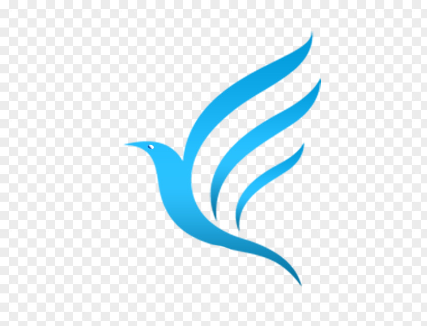 Bird Logo PNG