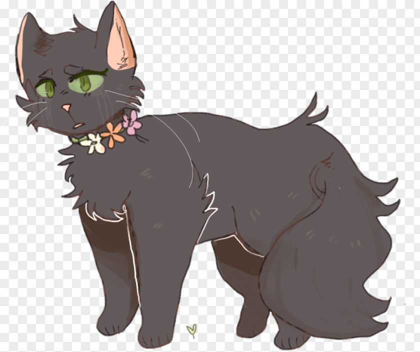 Cat Warriors Hollyleaf The Rise Of Scourge Fan Art PNG
