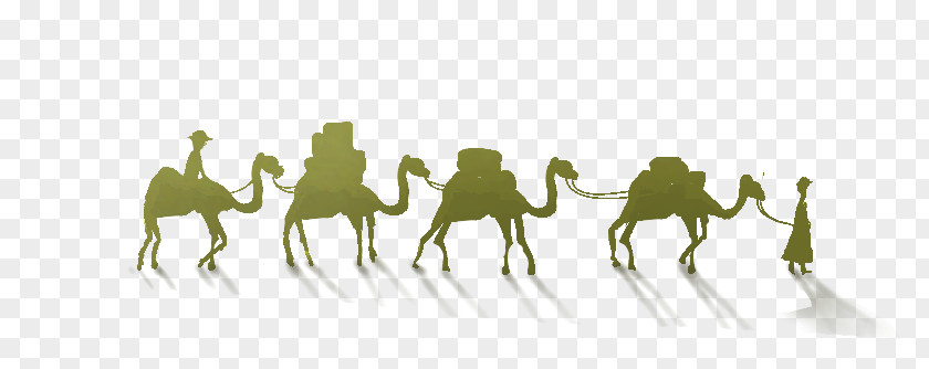 Cute Cartoon Camel One Belt Road Initiative Maritime Silk Horse PNG